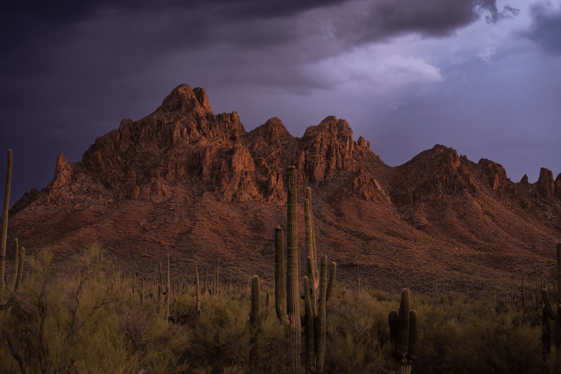 Top Road Trip Destinations in Sunny Arizona | Luxury Car Rental Near Me